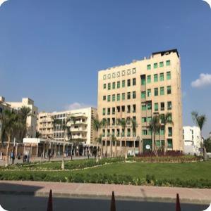 Demerdash Emergency Hospital